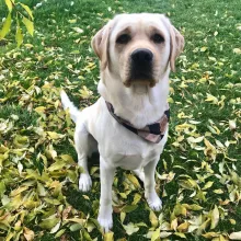 Spencer von der Zauberschmiede