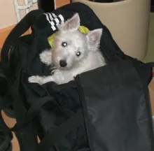 So sehe ich aus, wenn ich mich auf den Weg zum Hundeplatz mache.