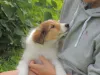 Charlie am 09.08.2017